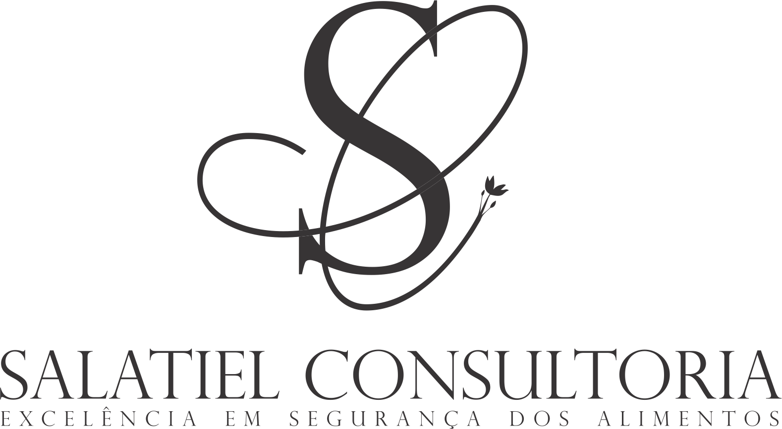 LOGO SALATIEL CONSULTORIA - PRETO