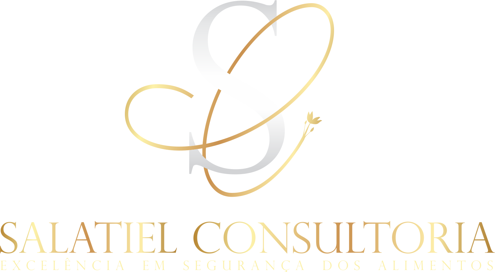 LOGO SALATIEL CONSULTORIA